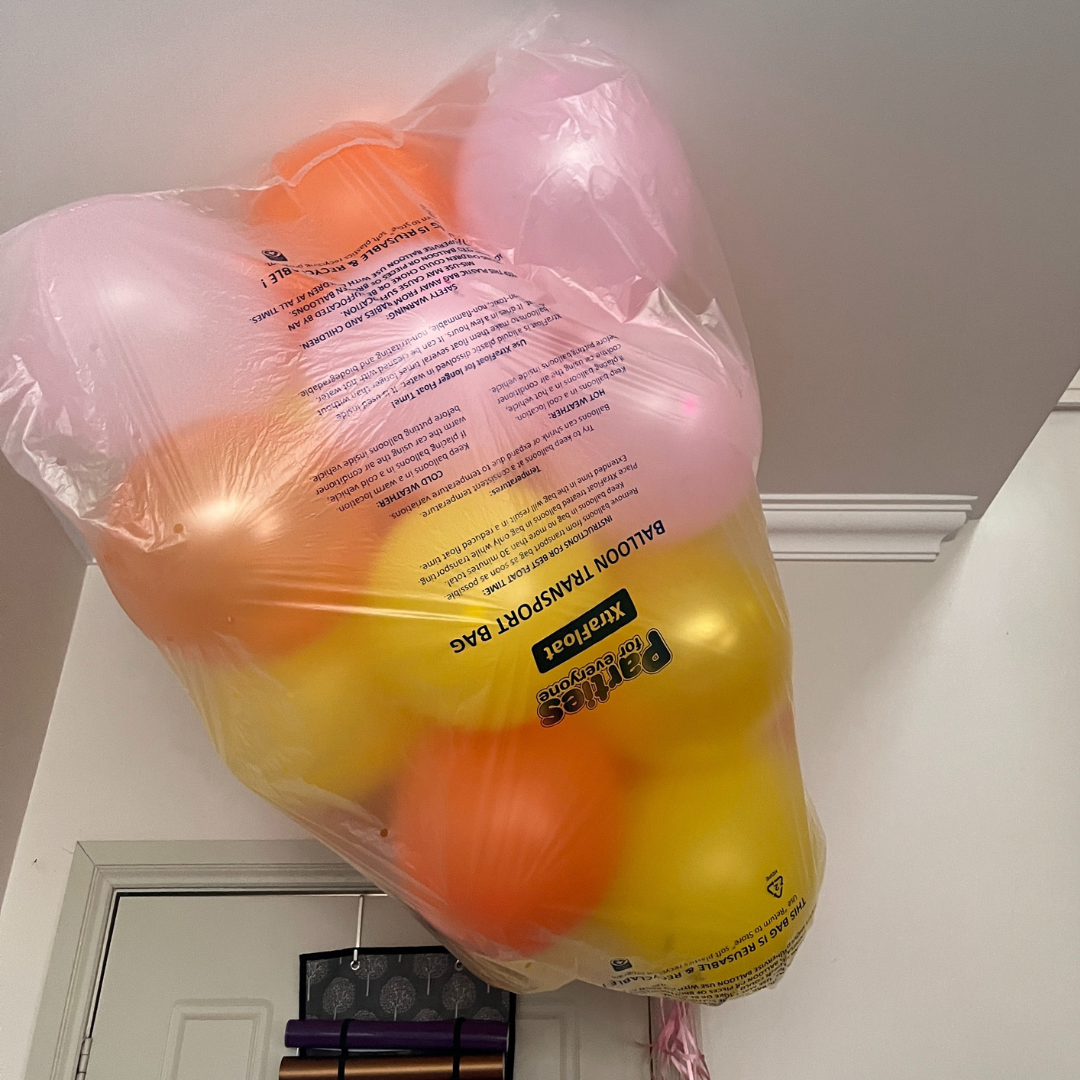 Balloon Transportation Bags