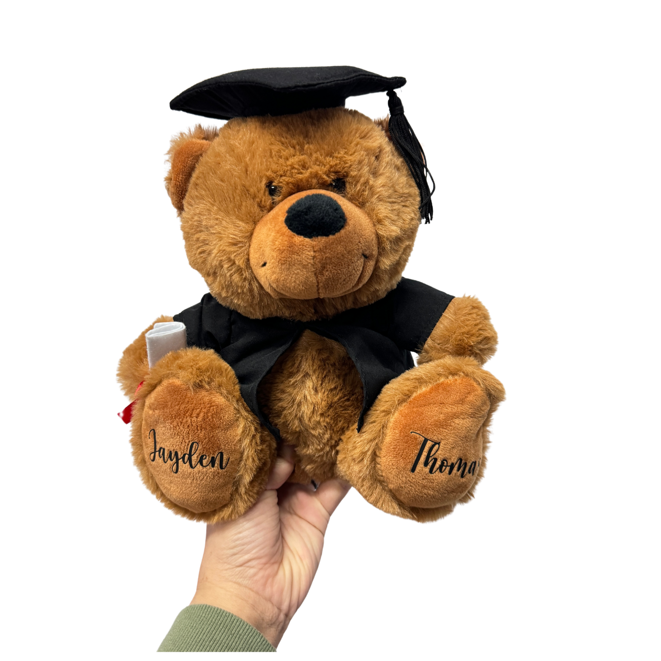 Graduations Bear