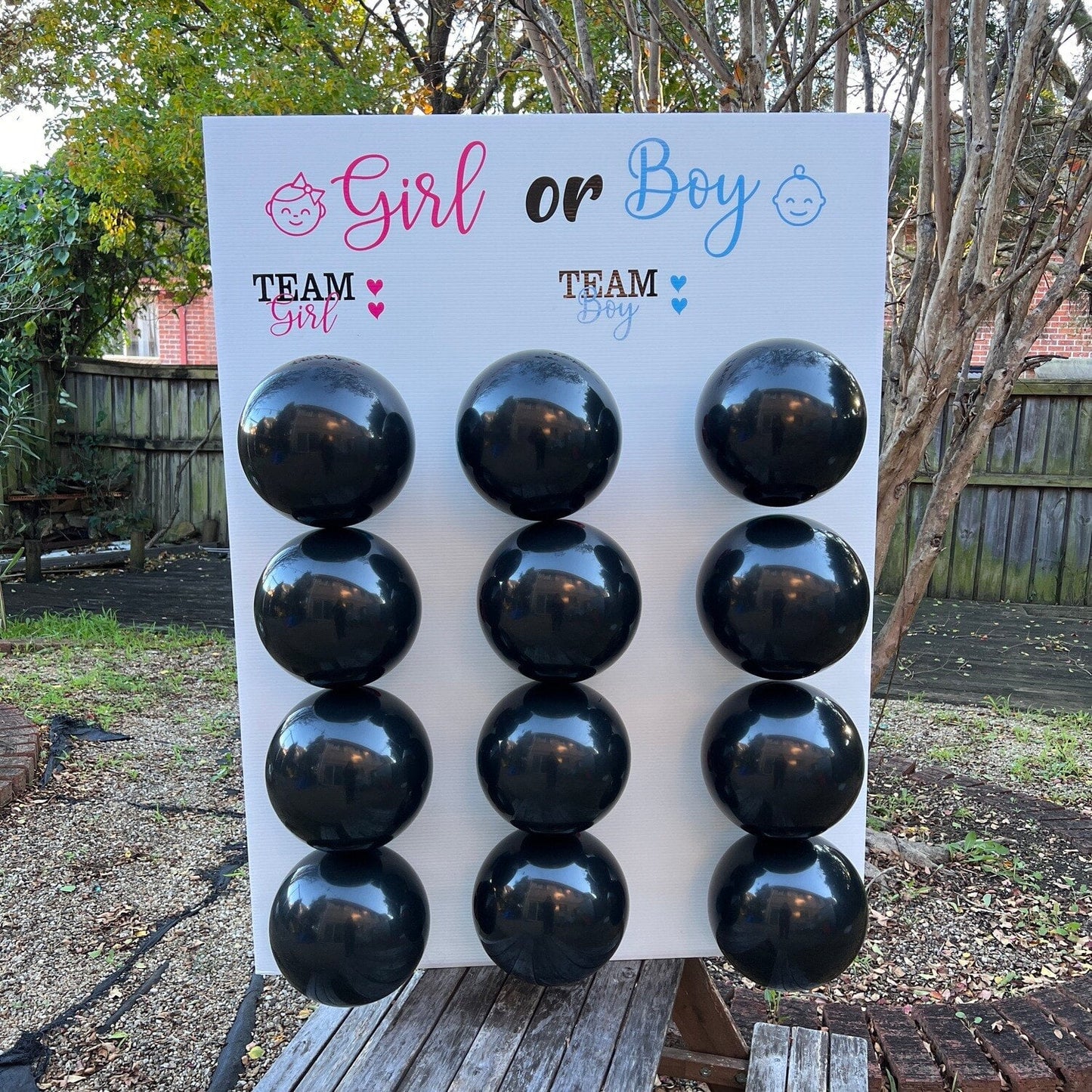 Gender Reveal Dart Board